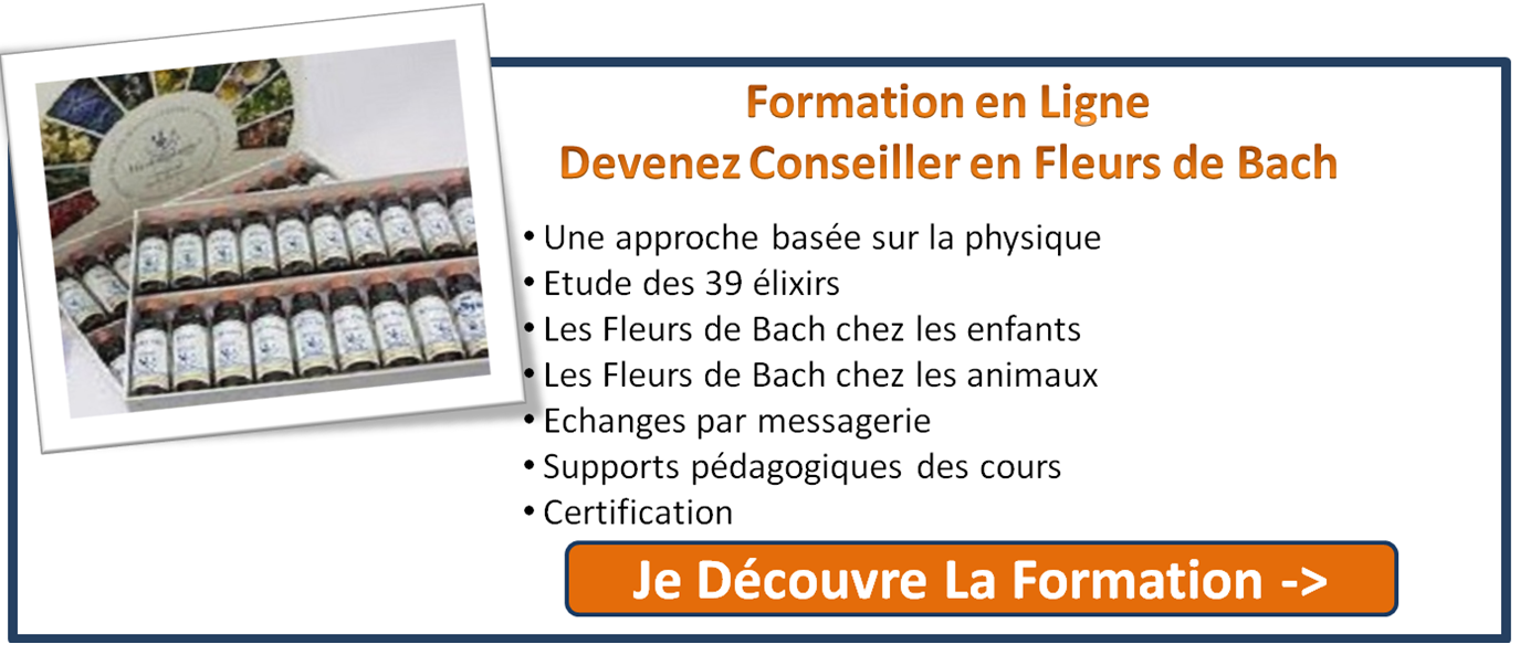 Formation en ligne Fleurs de Bach