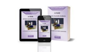 Ebook Aromathérapie facile. 10 huiles essentiells zénifiantes