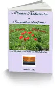 E-book gratuit plantes zénifiantes