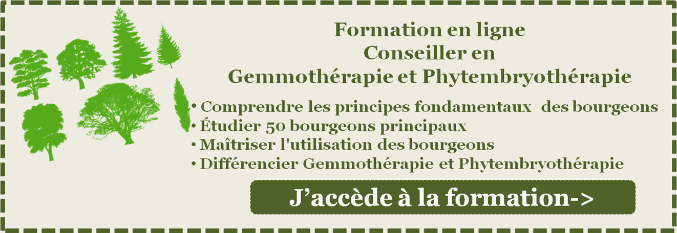 Stress : et si on parlait phytembryothérapie