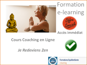 Cours Coaching Je Redeviens Zen