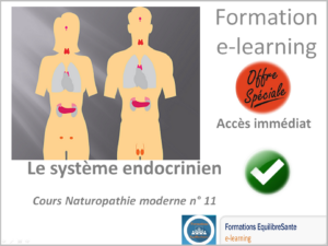 Cours naturopathie système endocrinien