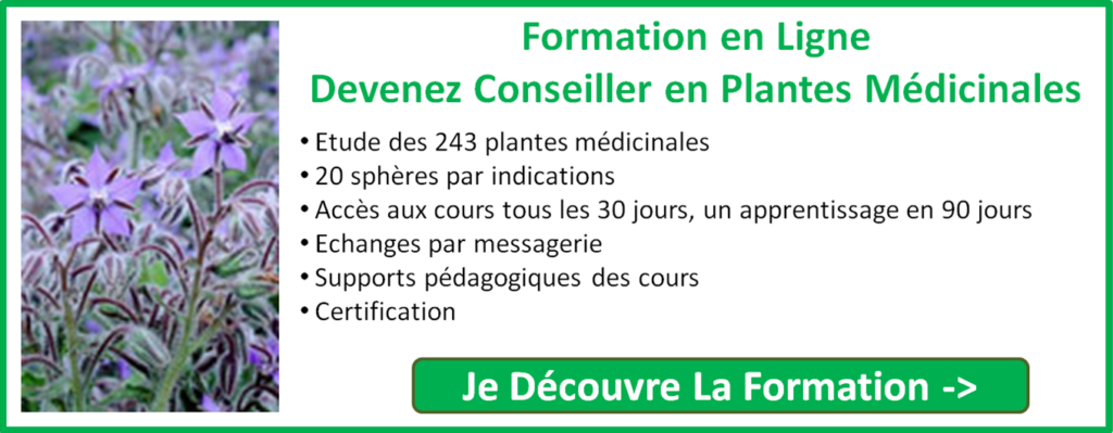 Formation phytothérapie en ligne
