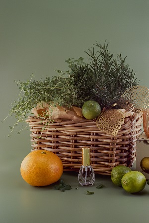 Cursus phyto-aromathérapie à distance equilibresante