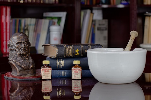 Les bases de la Naturopathie moderne