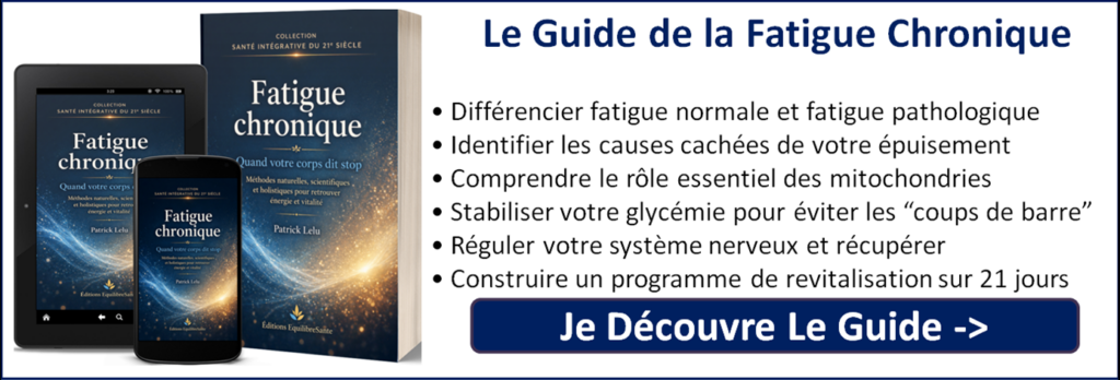 ebook fatigue chronique